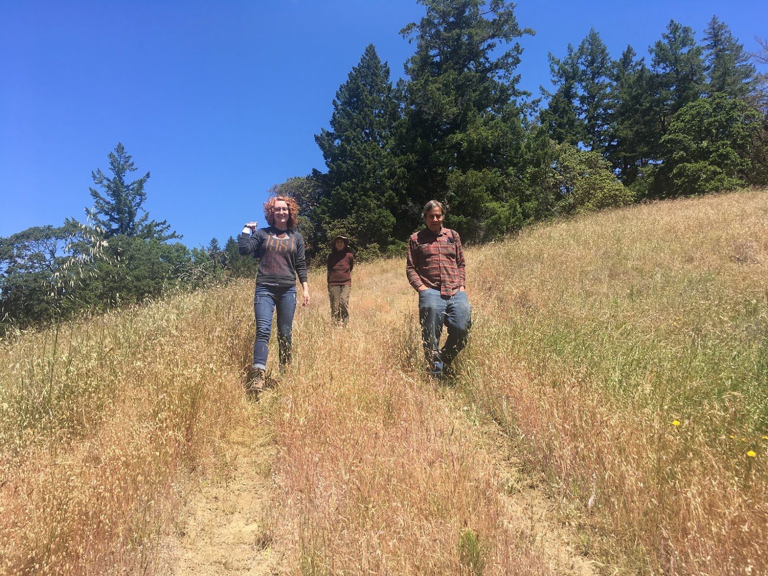 Three people walk down a mown path through a dry hillside meadow.