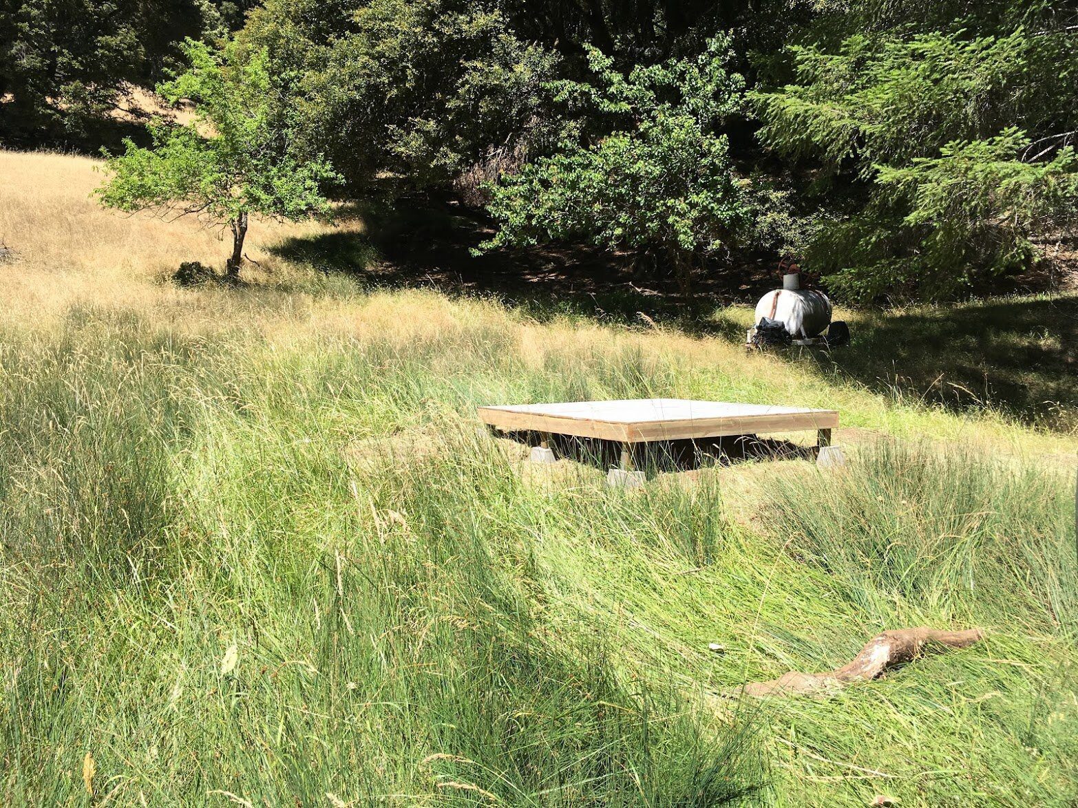 A small wooden platform in a grassy clearing below trees.