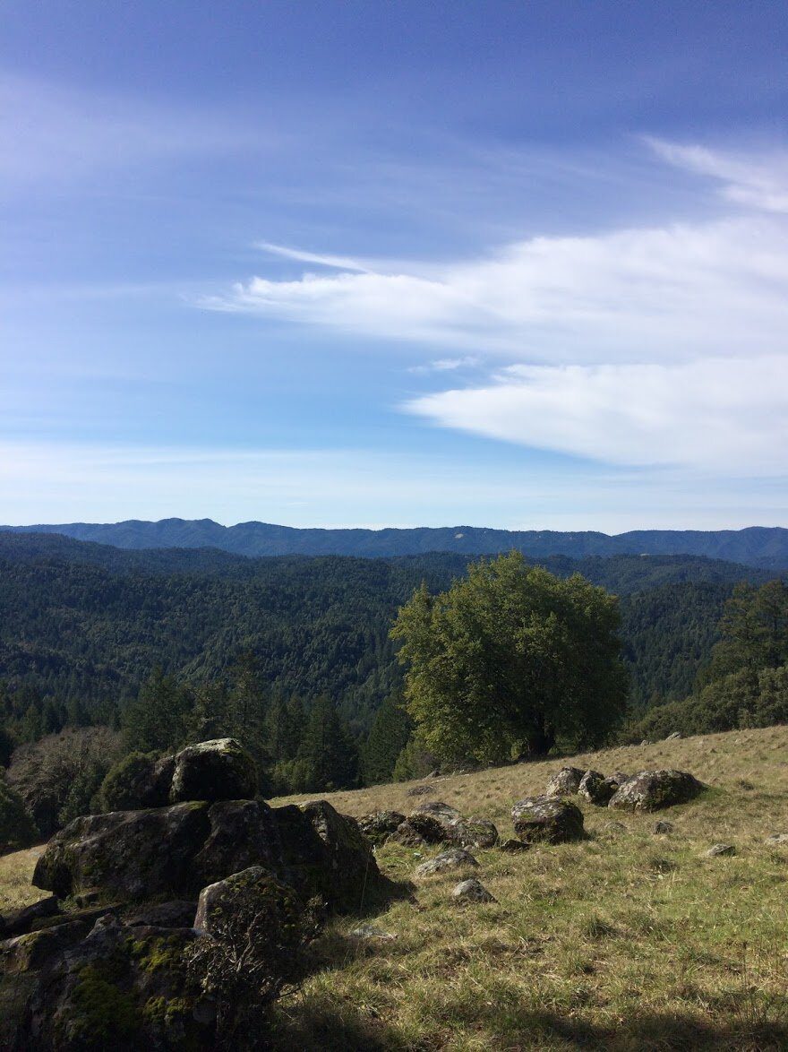 The view from Marker Rock: mossy boulders on a grassy slope above miles of forested ridges.