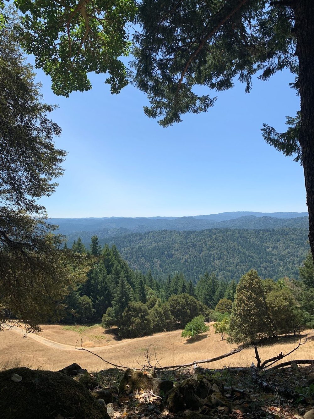 A view through trees across a dry meadow to forested ridges.